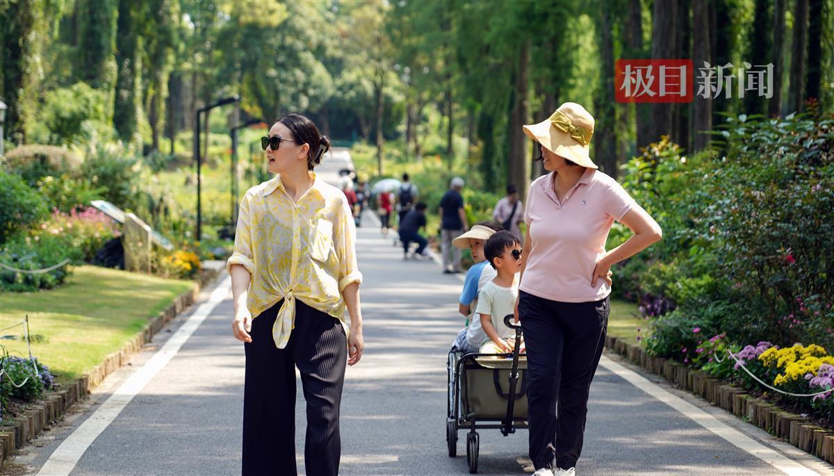千蠃国际网址